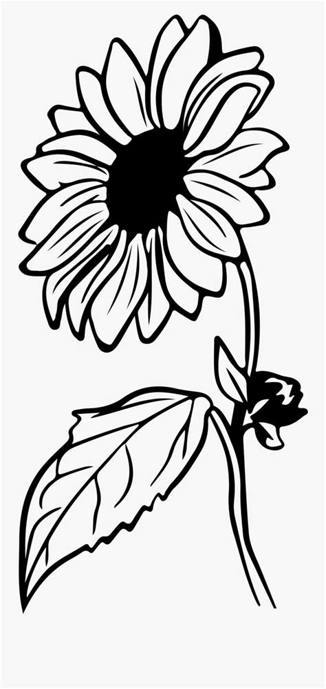 Sunflower Black And White Clipart Free - Theheretic