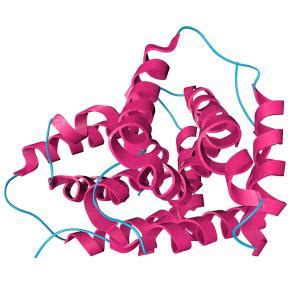 Differentiation of IL-22 levels in inflammatory diseases using a high ...