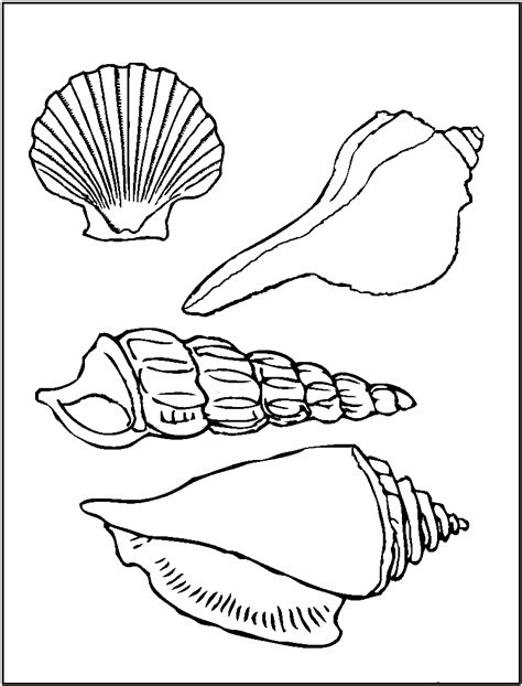 Printable Pictures of Sea Shells | Printable Seashell Coloring Pages Free Coloring Sheets ...