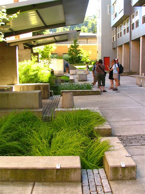 rainwater garden design | Raingardens connected to downspouts via granite paver runnels crossing ...