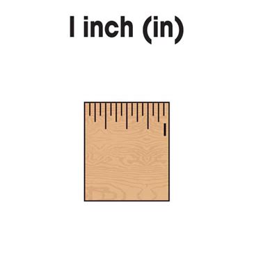 Inch Ruler Clip Art