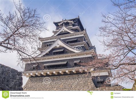 Kumamoto Castle with Sakura or Cherry Blossoms Stock Image - Image of japanese, declicate: 76258691