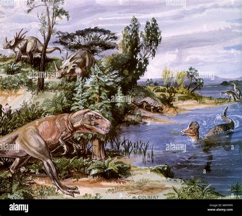 Corythosaurus fossils hi-res stock photography and images - Alamy