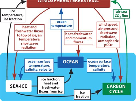 Schematic of the ocean model component of the IGSM2. | Download Scientific Diagram