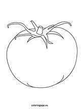 Tomato coloring Page  Coloring sketch template
