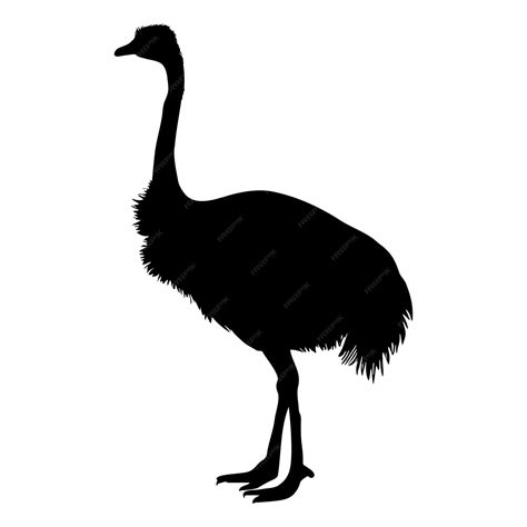 Premium Vector | Ostrich standing silhouette vector illustration