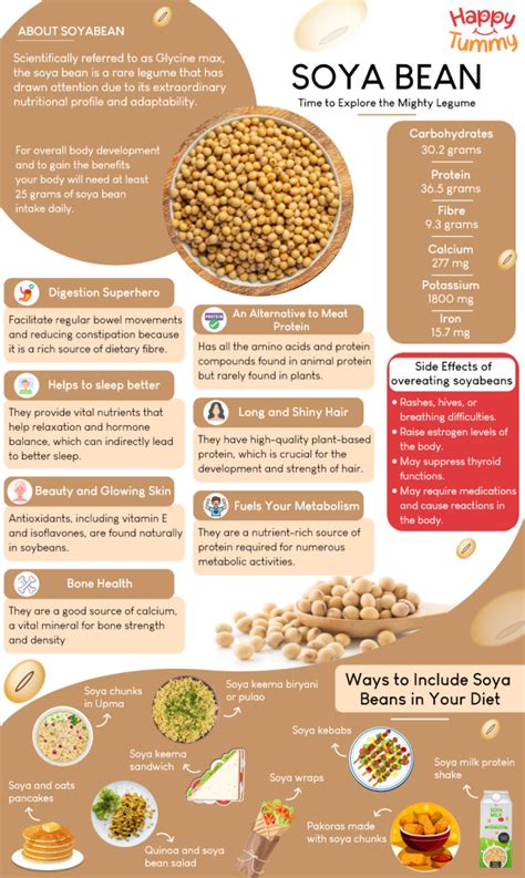 Soya Bean Nutrition Secrets: Protein-Packed Superfood - Happytummy