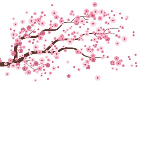 cherry blossom falling Sticker by KKday PH - Find & Share on GIPHY | Flowers gif, Anime cherry ...