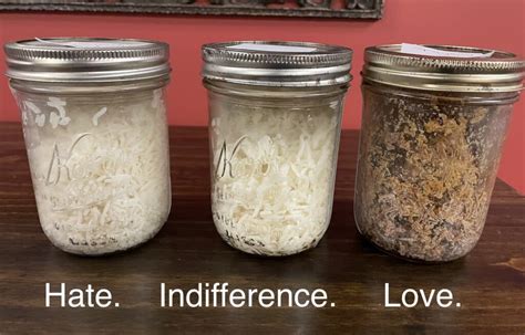 Rice Experiment Conclusion – Love Makes The Difference!