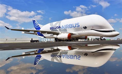 Airbus Beluga XL 3D Model By SQUIR | ubicaciondepersonas.cdmx.gob.mx