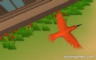 Bird Simulator - Play the Ultimate Bird Simulator Online on Silvergames.com