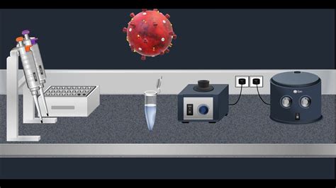 Coronavirus Test: Real time RT-PCR – Animation video - Blog - Lienket.vn