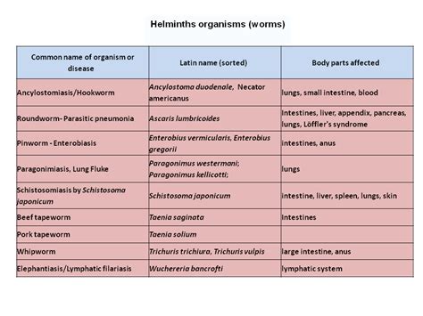 Names Of Diseases Diseases Names Definition And Examples