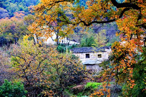 Things to do in Huangshan, Huangshan Attractions, Yellow Mountain