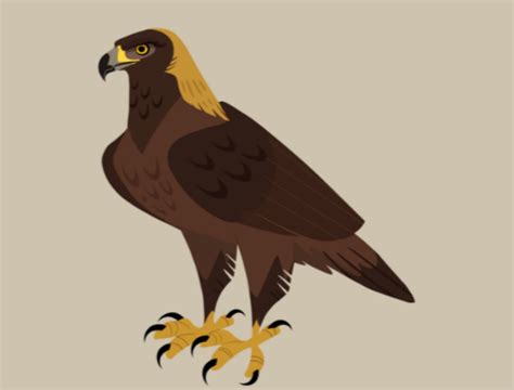 Golden Eagle | Wild Kratts Wiki | Fandom | Animated animals, Cartoon character design, Animals ...