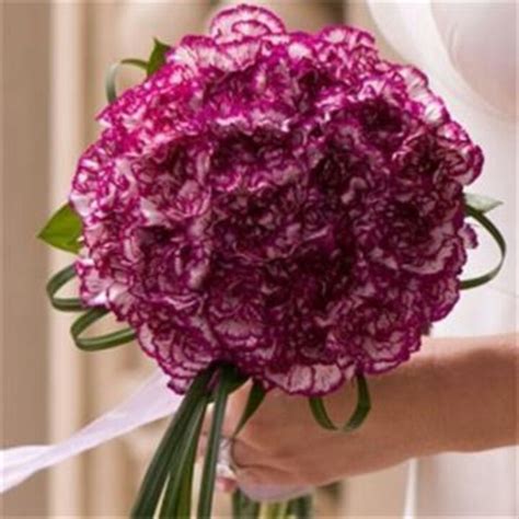 Carnations | Carnation wedding flowers, Carnation wedding, Purple bridal bouquet