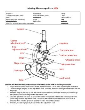 Labeling Parts of a Microscope - Worksheet/Quiz and Answer Key by To ...