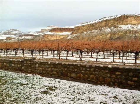 Perfectly Palisade: Colorado’s Wine Country | Bonjour Colorado