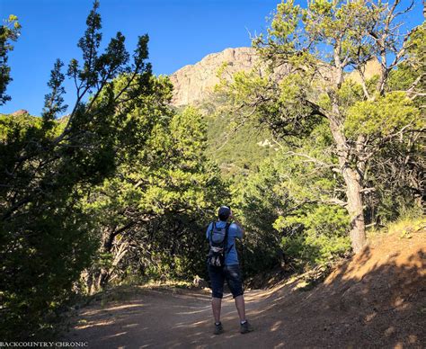 Shaded Trails for Summer in the High Desert - Hikes Around Albuquerque