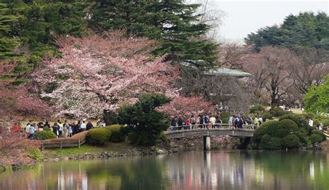 Shinjuku Gyoen, Park