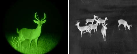 What are Digital Day/Night Optics vs. Thermal Imaging Cameras?