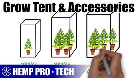 Grow Tent & Accessories You Need For An Indoor Setup - YouTube