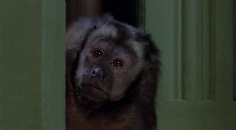 Monkey Shines (1988)