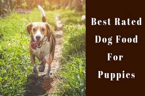 The Best Rated (Healthy!) Dog Food For Puppies – Top 10!