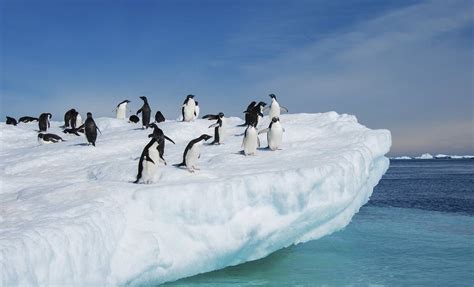 13 Day Scenic Eclipse: Antarctica in Depth | Eclipse Travel