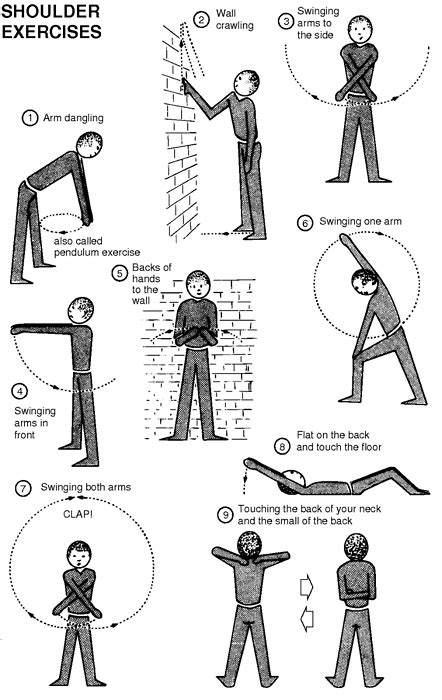 exercises for shoulder rehab | Shoulder rehab, Physical therapy exercises, Physical therapy