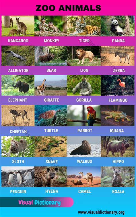 Animals: 1000+ Animal Names | Great List of All Animals | Classification of Animals - Visual ...