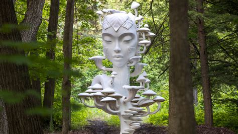 Human+Nature | The Morton Arboretum