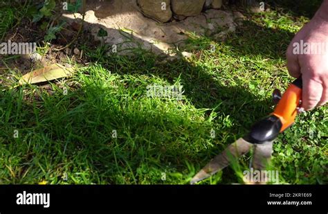 Grass cutting scissors Stock Videos & Footage - HD and 4K Video Clips - Alamy