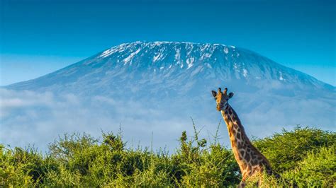 Mount Kilimanjaro Top Tours and Tips | experitour.com