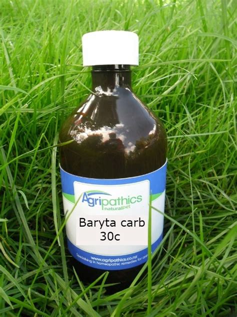 Baryta Carb 30 For Premature Ejaculation Sale | centralcountiesservices.org