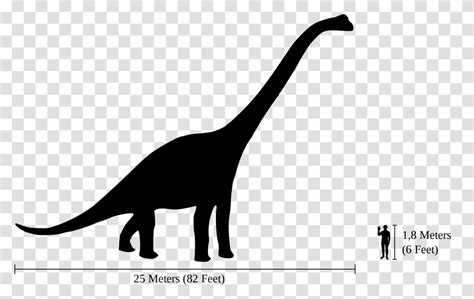 Brachiosaurus Size, Gray, World Of Warcraft Transparent Png – Pngset.com