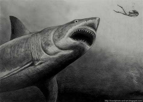 Lukas´s Photos and Graphic Art: Megalodon (drawing)