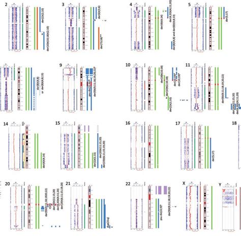 SNP array images for each chromosome with their interpretation. SNP... | Download Scientific Diagram