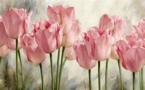 Soft pink tulips wallpaper | colorful | Wallpaper Better