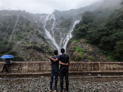 Go wild In Dandeli & Dudhsagar waterfalls Trek | Book at 20% Off