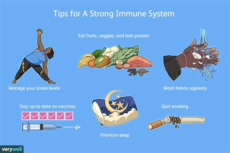 How to Maintain a Strong Immune System