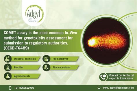 COMET assay - Adgyl Lifesciences