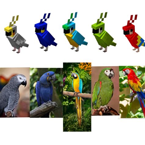 All the minecraft parrot and their real life look-alikes... : Minecraft