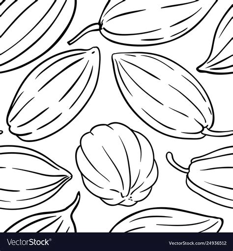 Cocoa seeds pattern on white background Royalty Free Vector