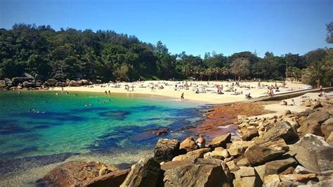 Tickets & Tours - Shelly Beach , Sydney - Viator