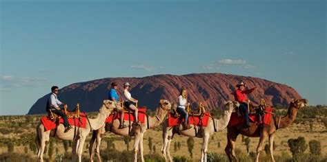 Camel Rides Uluru | Ayers Rock - Everything Australia