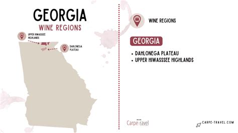 Discover Georgia Wine Country | Carpe Travel