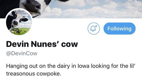 Devin Nunes sues Twitter, and Devin Nunes' cow, and Devin Nunes' mom ...