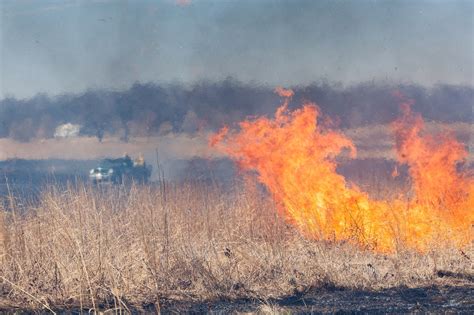 Illinois Prescribed Fire Council - Home