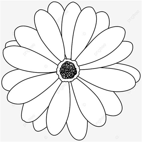 Flowers Clipart Black And White, Flower Drawing, Flowers Drawing, Lip Drawing PNG and Vector ...